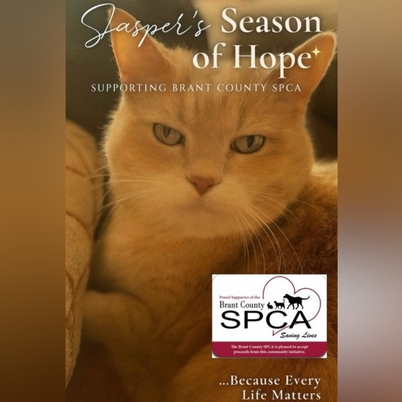 MERANGUE Transparent Geometry Set ā Red Case š $5 Finds ā Clearance Section š - Picture 5 of 5